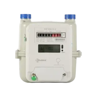 [RHF1S061] Gas Meter