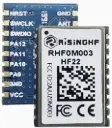 LoRaWAN  module